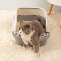 고양이 배변 화장실 판 토일레 애완용품 훈련 소형 오픈 평상 거름망, 본상품선택