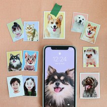 [1+1] 반려동물 증명사진 스티커 보정파일 무료제공, 8컷세트(반명함3*4) 스티커, 재단해주세요, (1+1)리뷰할게요