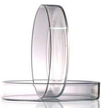페트리 디쉬 샤레 유리 샬레 접시 세균 배양 접시, 150mm 다섯 개
