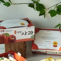 [천삼백케이] [갓샵] 반전 미니 사과 돈 용돈 박스 상자 현금 선물 - 기본