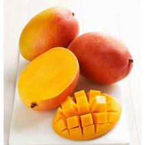 고당도 프리미엄 항공수입 애플망고 2과 4과 8-9과(1박스 4kg), 4과(개당 약360g~400g), 1개
