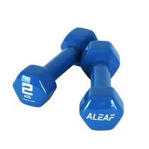 아리프 PVC 컬러 미용아령 2kg 2개 SET 덤벨 헬스