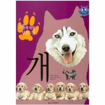 개에 대한 모든것 개 62 키즈자연과학그림책, 상품명