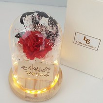 라임블러썸 [라임블러썸]카네이션LED유리돔 선물 인테리어소품, 단품없음