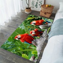 CLOOCL 앵무새 파라다이스 플로어 매트 열대 숲 프랭지파니 3D 프린트 플란넬 카펫 거실 공간 러그 실내 도어매트, 2.40cmX60cm - Carpet 2