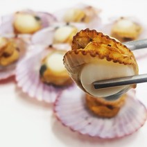 창영수산 고성 홍가리비, 홍가리비 5kg