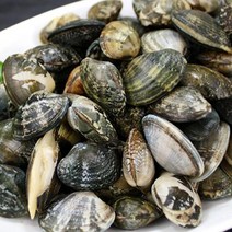 천수만 싱싱바지락1kg, 단품