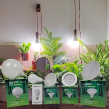 히포 LED 식물등 식물 램프 전구 조명 생장 성장 재배용 벌브 12W 빛쟁이조명, 03.PAR30확산형12W, 1개