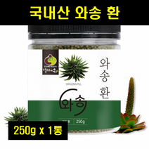 와송환 식용와송 바위솔 국산 국내산 와송 밀폐용기 250g 1통, 1개