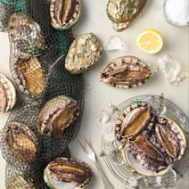 완도전복주식회사 완도 활전복 1kg 세트, 1box, 30~40미  1kg