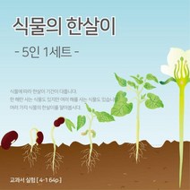 식물키우기 식물의한살이 식물도감 5인세트 과학수업