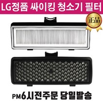 LG 정품 싸이킹 청소기 배기 필터 블랙 일체형 (즐라이프 당일발송), 1개