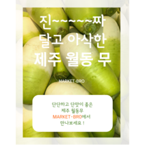 [국내산] 무 무우 제주무 월동무 저장무 겨울무, 제주월동무 10kg