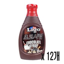 리고 초코시럽, 12개, 585g