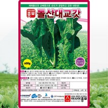 돌산대교 갓 씨앗 갓 씨 종자 7g