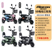 3륜전기자전거 세발자전거 전기 삼륜 자전거 가성비 2인용 전동 세발 성인용, 48V, V8-15A리튬전지(색상비고)