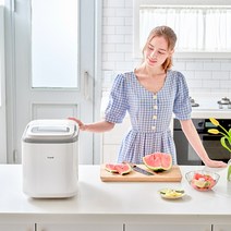 프롬비 가정용 제빙기 미니제빙기 소형제빙기 스테인레스 제빙봉 UV 살균기능, 프롬비 제빙기