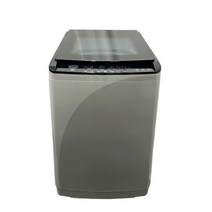 로퍼 전자동 통돌이 세탁기 10kg 방문설치, RT-W120, 그레이