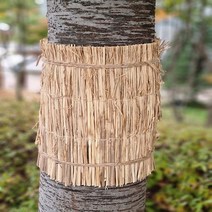 가든그린 잠복소 월동거적 나무 보호 바람막이 왕골 볏짚 지푸라기, 45cm 20m