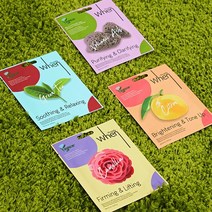 [AMISO] 비건 마스크팩 10매입 지금 세계적인 트렌드는 비건이 대세 피부에 좋은 청정 제주도 특산 원료를 사용, 볼케이닉 퓨리파잉 10매입