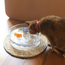 둥둥도자기 도자기모형 고양이 물그릇 장난감 물에 뜨는 물고기 오리 금붕어 고래 복어 니모 거북이, 투명유리수반 ( #중형 )
