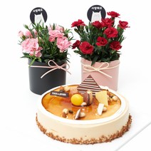 유어버스데이 카네이션 화분+뚜레쥬르 모카케익