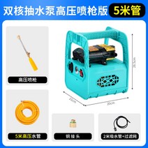 휴대 충전식 농약 압축 분무기 펌프 세차기 배터리, O개