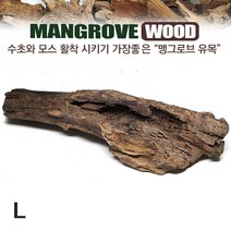 자연과사람 맹그로브 유목 (대)