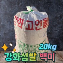 22년햅쌀 고인돌 강화섬쌀 백미 마대포장 쌀20kg, 1개