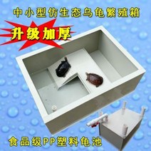 터틀텁 거북이 사육장 어항 육지거북 중소형 플라스틱 거북항아리 거북장 번식 가정용, 03 미황60X40X25 누드박스(밑면 배수