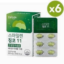 식약처 인증 기억력 혈행 개선 영양제 징코 11 은행잎 추출물 징코빌로바 뇌 두뇌 건강 영양제, 6개, 30정
