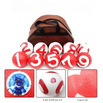 게이트볼 장비 공 경기용 노인 체육 도구 실버타운 10개입, 기본