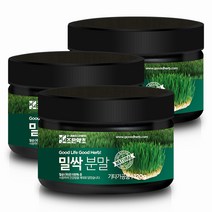 굿허브 밀싹가루 120g x 3, 단품