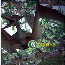 3D 프테라노돈, 프랭클린