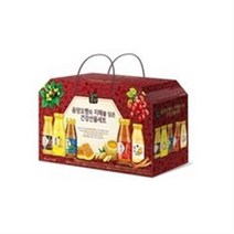 해태 몸에 좋은 음양오행 건강선물세트 180ml x 10입, 50병