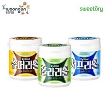 웅진식품 [웅진식품] Sweetory 슈퍼리톨껌/플라리톨껌/서프리톨껌 3종 100gx3입, 플라리톨껌 3입