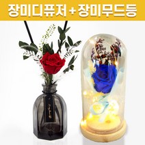 스페셜 프리저브드 레드 장미 디퓨저 선물세트 + 장미 무드등 로즈데이 선물 남자친구 여자친구 남사친 여사친 선물 실내 디퓨저 실내 방향제 디퓨저, 블루, 120ml, 자몽