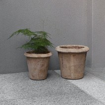 네소팟 15호 (받침세트) 베트남토분, 단품