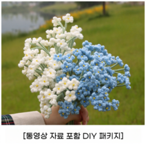 코바늘 사계절 손 뜨개질 DIY 취미키트 꽃 다발 태교 니트 왕초보 만들기 세트, 5 안개꽃 DIY패기지