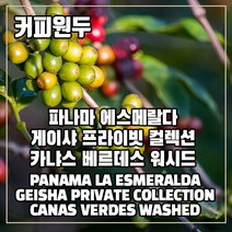 (커피원두) 210 파나마 에스메랄다 게이샤 프라이빗 컬렉션 카냐스 베르데스 워시드 100g, 2. 굵은 분쇄-프렌치프레스용