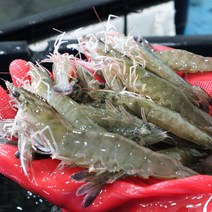 국내산 대왕 흰다리새우 대하 손질새우 500g 1kg, [급랭]국산 대왕 흰다리새우 1kg