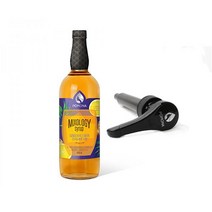 포모나 믹솔로지 진저앤레몬시럽1000ml+정품펌프