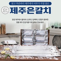 핫한 갈치밥상 인기 순위 TOP100