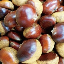 2022년 첫수확 맛있는 알밤 공주알밤 1kg