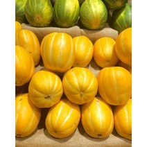 과일친구들 고당도 성주참외 꿀참외 못난이참외 2kg 10kg