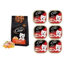 시저 건사료 파우치 1kg + 캔사료 100g 6캔, 양고기 건사료1kg, 쇠고기 14세이상 100g 6캔