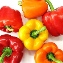 [이베따] 국내산 파프리카 3kg, 상세 설명 참조