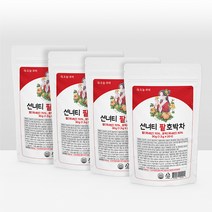 오늘부터 선녀티 팥호박차, 30g, 20개입, 4개
