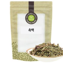 측백 측백엽 600g 국산 국내산, 단품