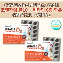 코엔자임 q10 코 큐텐 유비 퀴논 퀴놀 식약처 인증 혈압 상승 증상 낮추는 보조제 혈압에 좋은 질환 개선 건강 식품 세포 보호 유해 활성 산소 제거 항산화 비타민 영양제 60캡슐, 2개